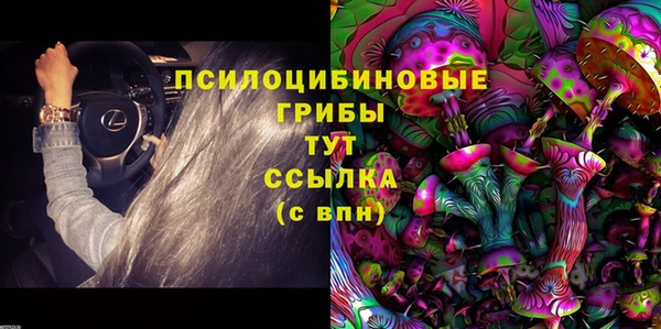 гашик Балахна