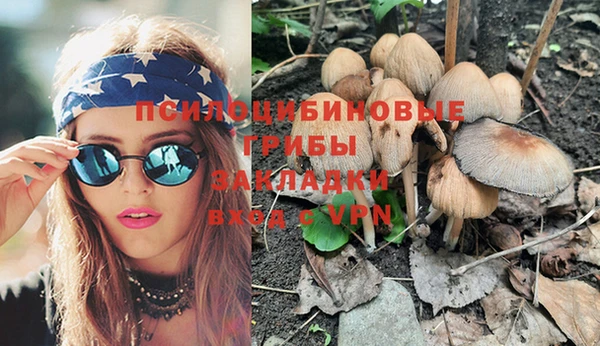 гашик Белоозёрский