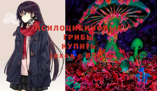 гашик Белоозёрский